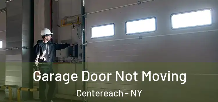  Garage Door Not Moving Centereach - NY
