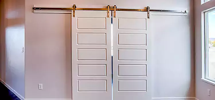 Glass Barn Door with Installation Hardware Kit Centereach
